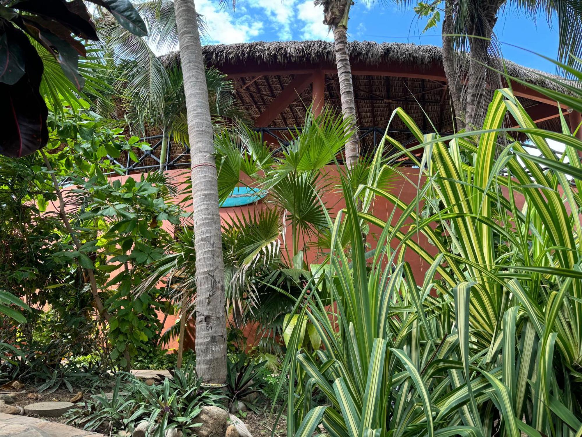 One Love Hostal Puerto Escondido Exterior foto