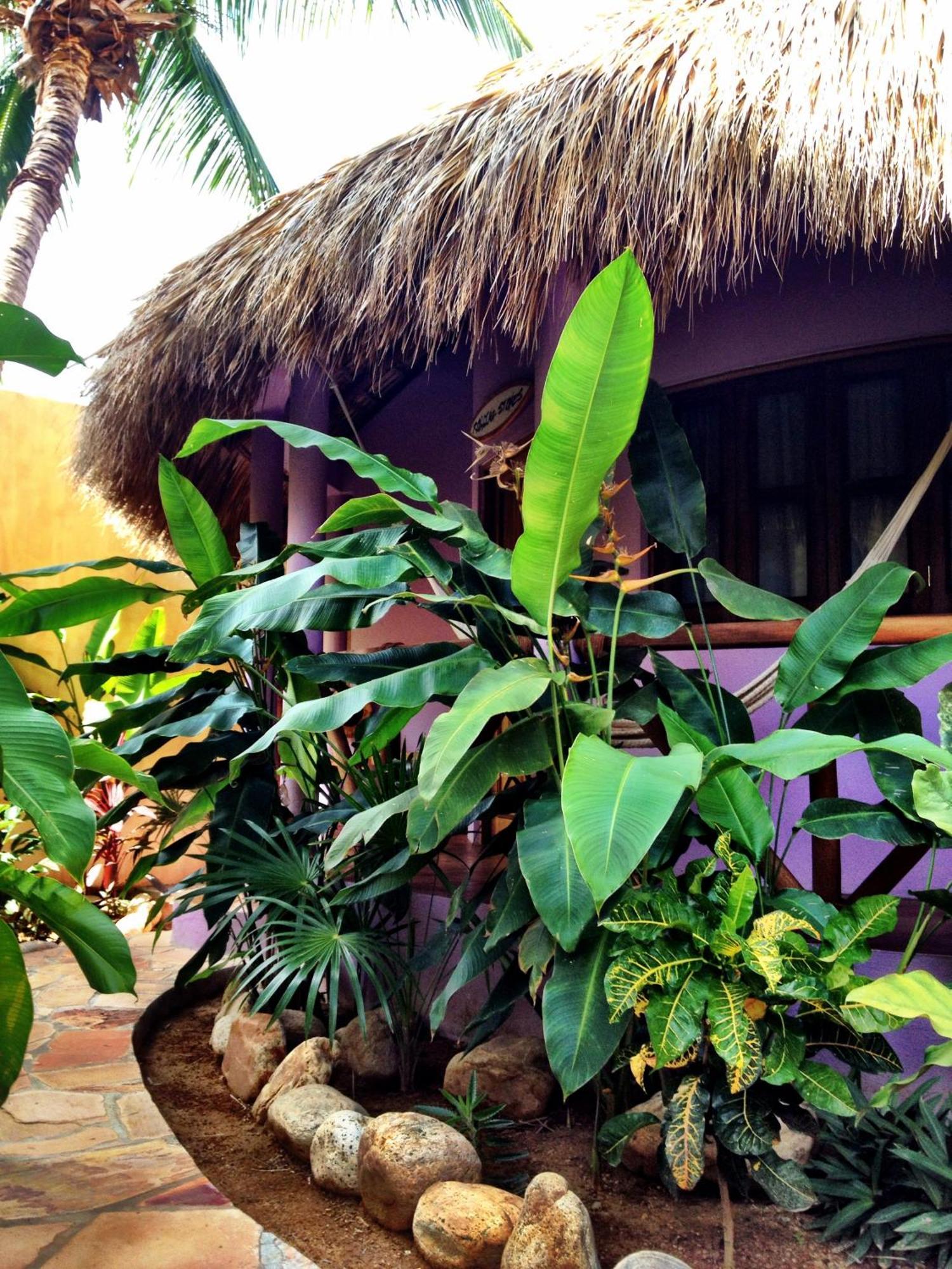 One Love Hostal Puerto Escondido Cameră foto