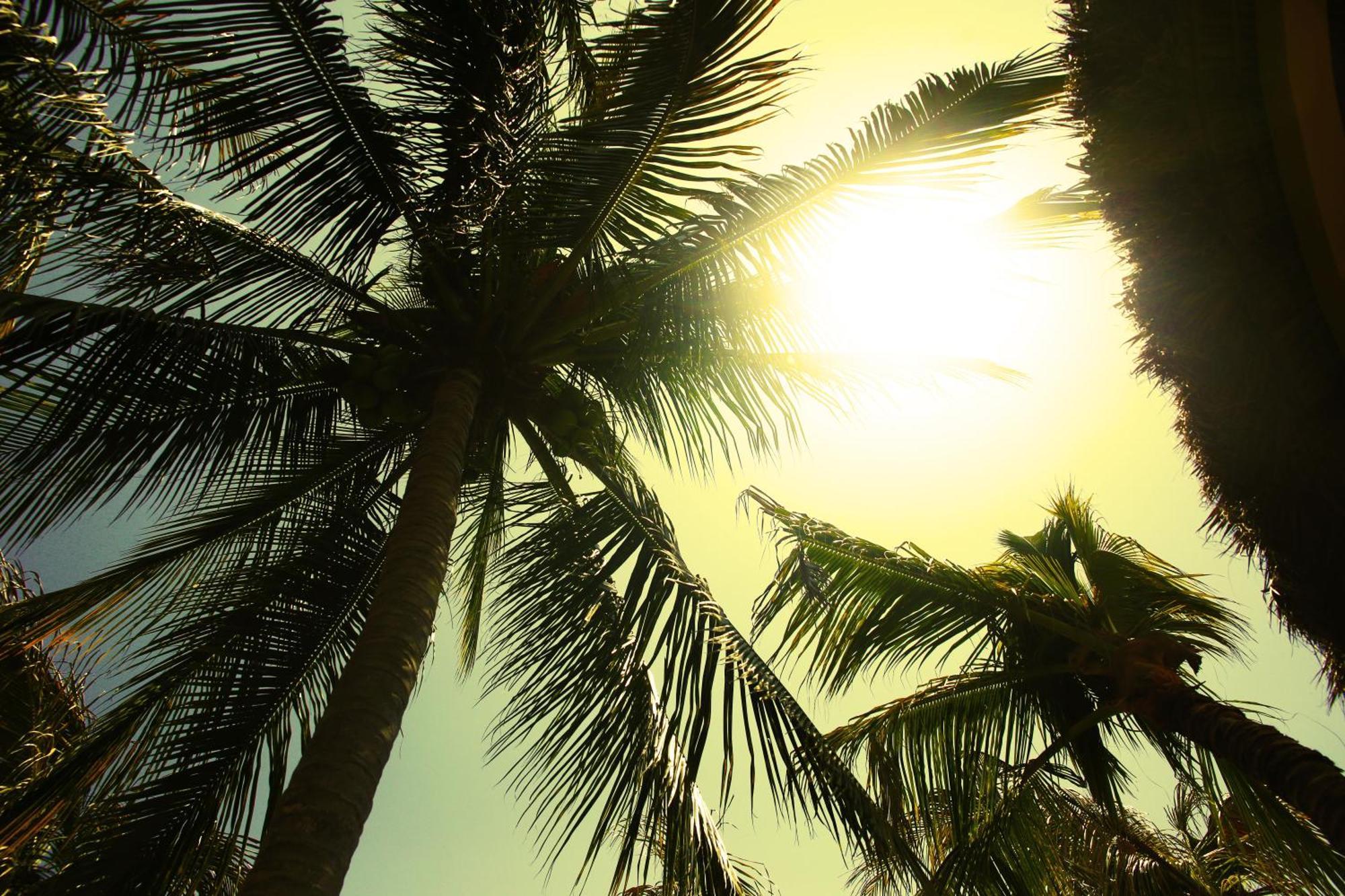 One Love Hostal Puerto Escondido Exterior foto